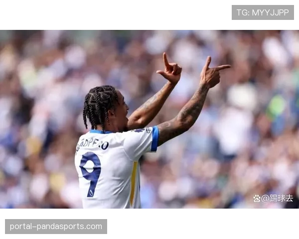 佩德罗称赞凯塞多在切尔西表现出色，进球后感叹队友贡献